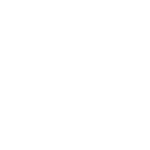 Raintree White Logo